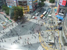 La questione delle Isole del Nord è uno degli incroci della storia come il famoso Shibuya Crossing